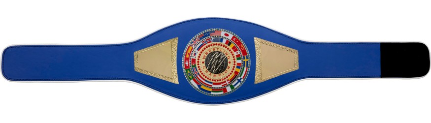 WRESTLING CHAMPIONSHIP BELT PROFLAG2/FLAG/G/WRESTGEM - VARIETY OF LEATHER COLOURS AVAILABLE WRESTLING CHAMPIONSHIP BELT PROFLAG2/FLAG/G/WRESTGEM - VARIETY OF LEATHER COLOURS AVAILABLE